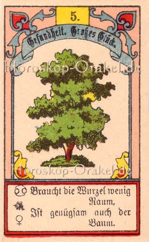 Der Baum im Stier Tageshoroskop übermorgen