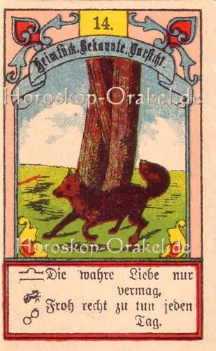 Single stier frau