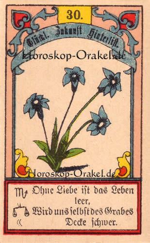 Die Lilien im Stier Tageshoroskop heute