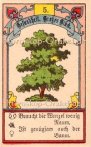 Der Baum, Horoskop mit Lenormand