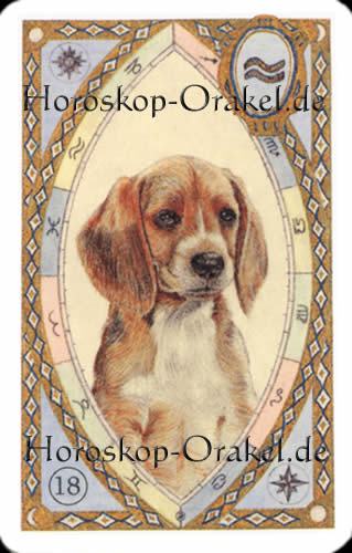 Der Hund, Stier Monatshoroskop