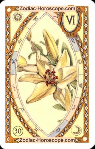 Astrologische Lenormandkarten die Lilie