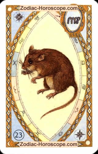 Tageskarte heute die Mäuse